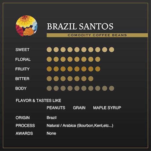 ブラジルサントス